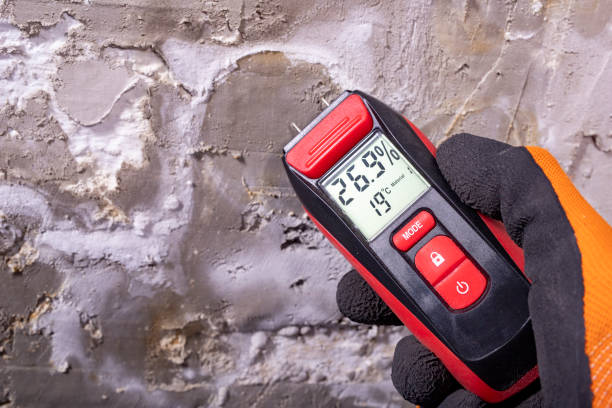 Best Mold Damage Repair  in Flemington, PA