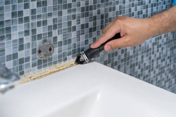 Best Mold Damage Repair  in Flemington, PA