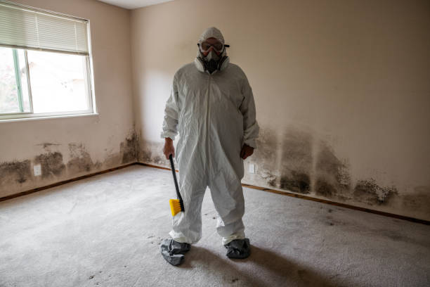 Best Mold Testing  in Flemington, PA