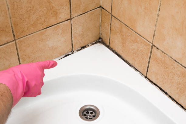 Best Mold Cleaning Services  in Flemington, PA